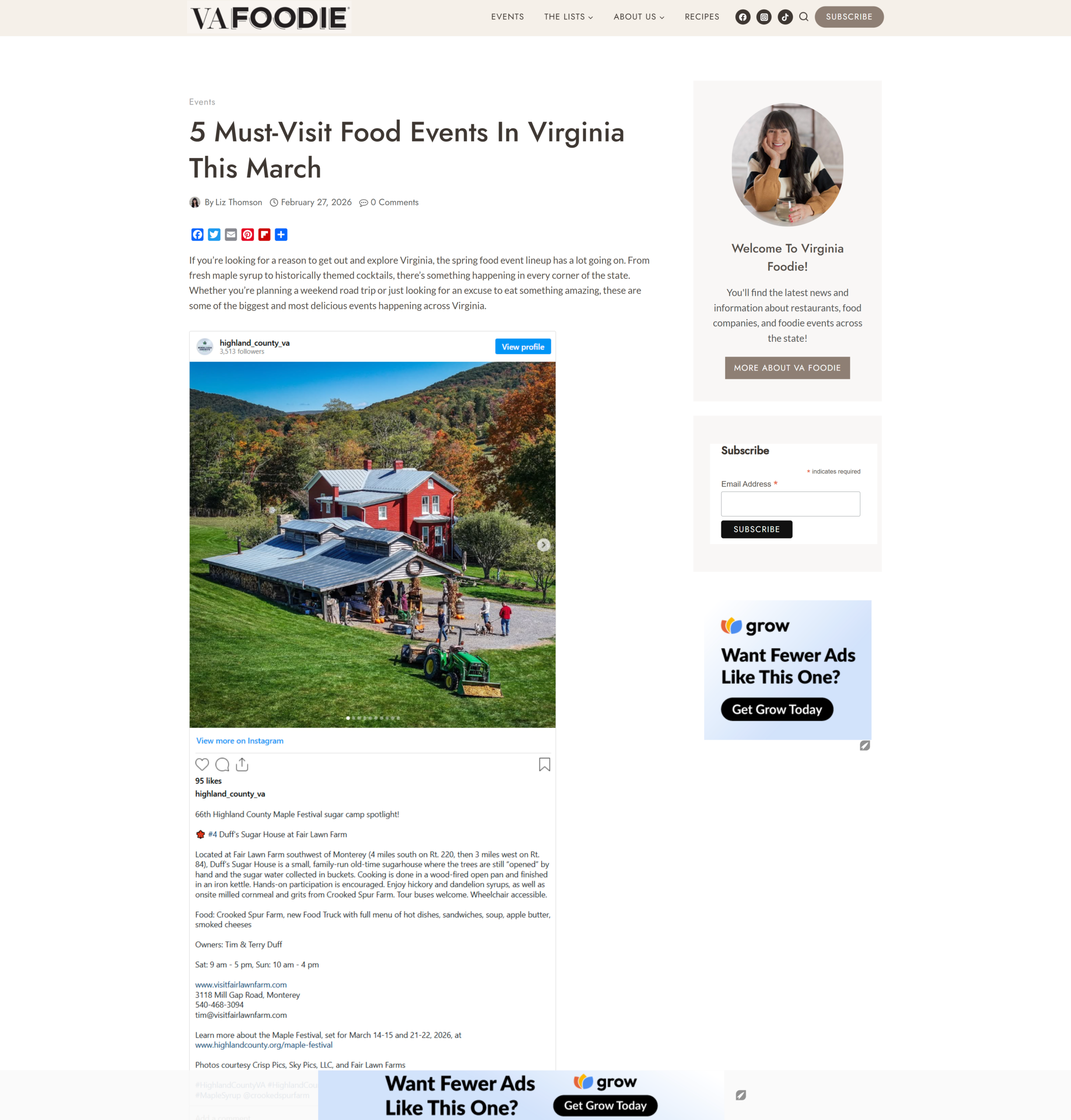 Screenshot of the article on VA Foodie